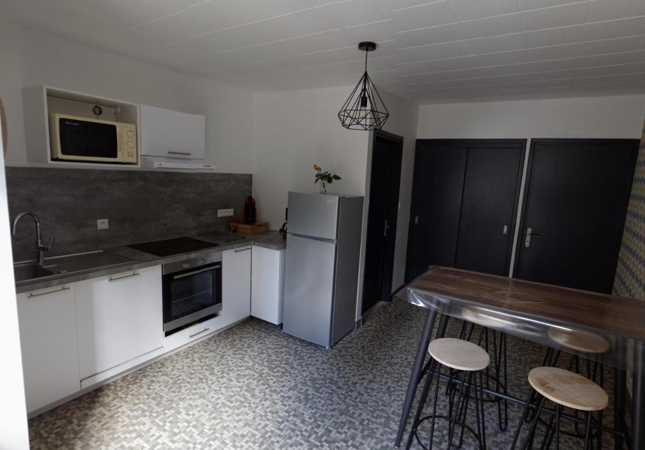 Villa Jean Julien - Le Sancy - Appartement T3 - 65M2 - 8 Personnes Le Mont-Dore Exteriör bild